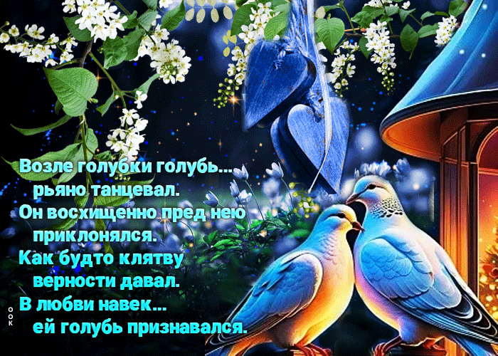 Picture красочная любовная открытка с голубками
