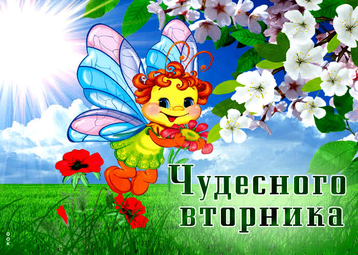 Picture красочная открытка с бабочкой чудесного вторника