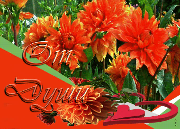 Picture красочная открытка с оранжевыми цветами от души