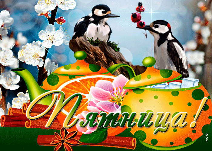 Postcard красочная открытка с птицами пятница!