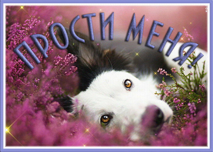 Postcard креативная открытка с собакой в сирени прости меня