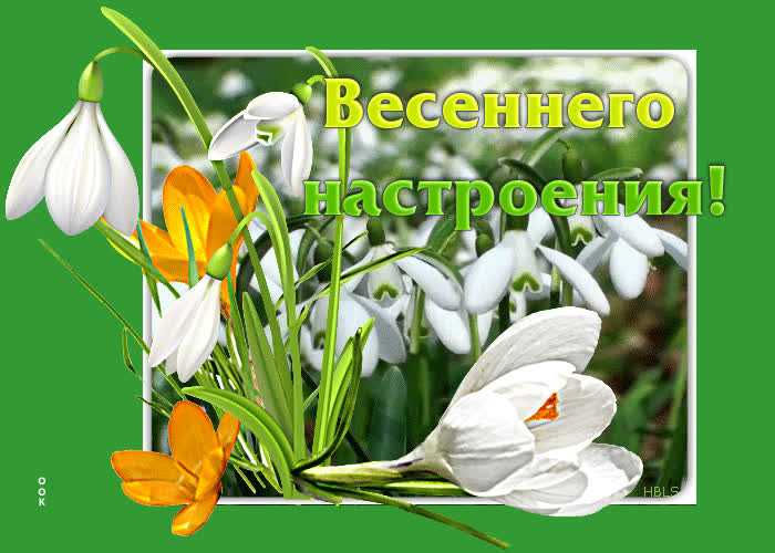 Креативная открытка Весеннего настроения! С подснежниками- Скачать ...