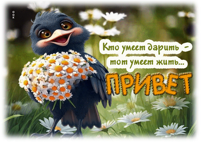 Picture кто умеет дарить - тот умеет жить. привет