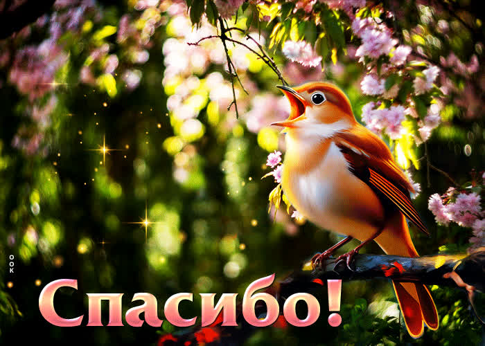 Picture ласковая анимационная открытка с птичкой спасибо