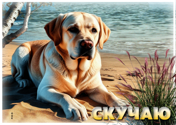 Postcard ласковая гиф-открытка скучаю