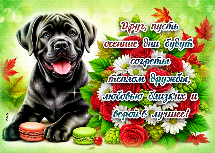 Postcard ласковая и лучистая осенняя гифка дружбы и любви близких