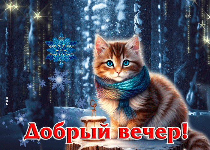 Picture ласковая и свежая гиф-открытка с котом добрый вечер