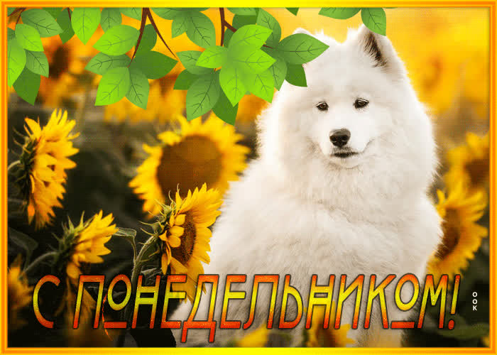 Postcard легкая и вдохновенная открытка с собачкой с понедельником