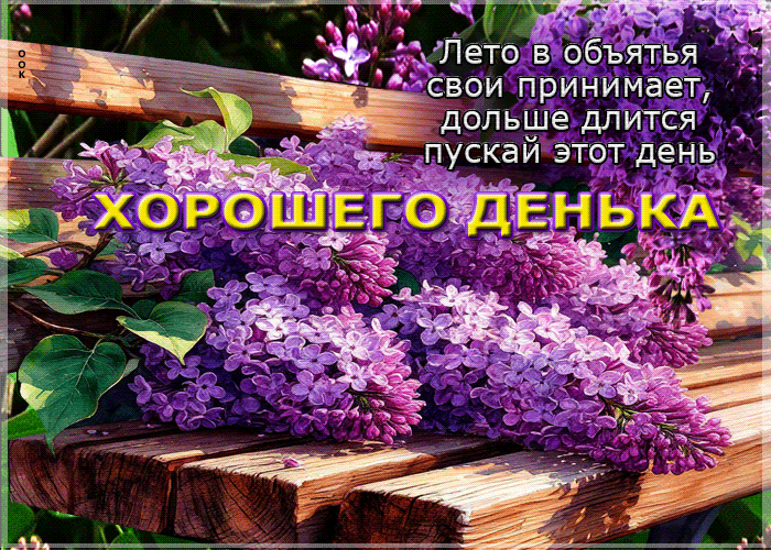 Picture лето в объятья свои принимает, дольше длится пускай этот день