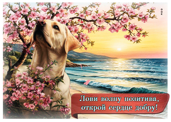 Picture лови волну позитива, открой сердце добру