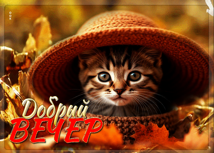 Postcard лучшая осенняя гифка добрый вечер