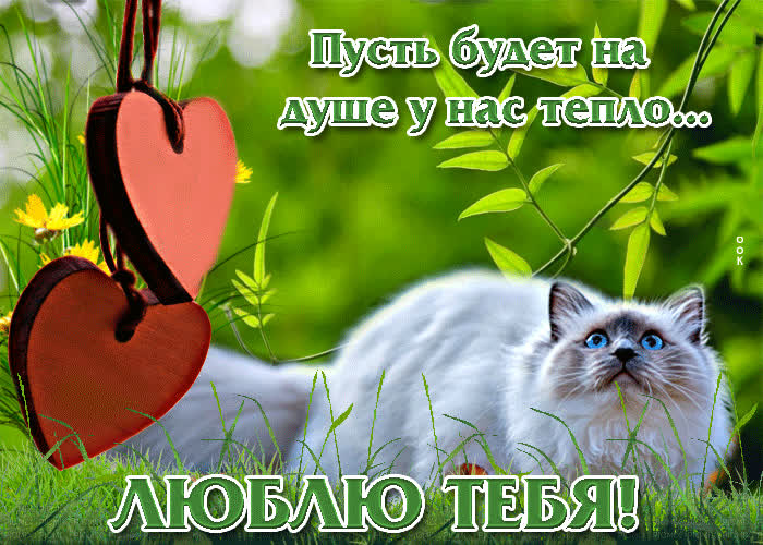 Люблю тебя! Пусть будет на душе у нас тепло - Скачать бесплатно на ...