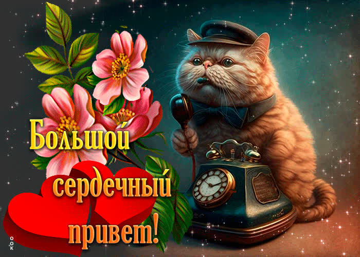 Postcard магическая открытка с котом большой сердечный привет!