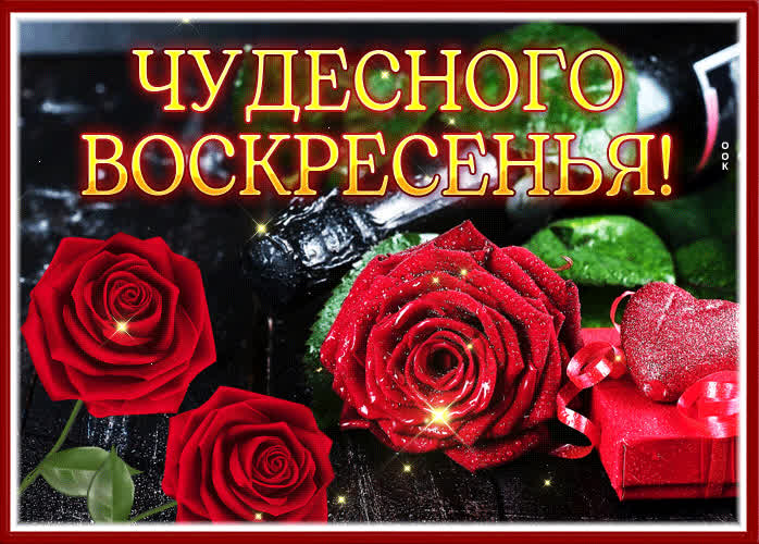 Picture мечтательная и романтичная гиф-открытка с розами чудесного воскресенья