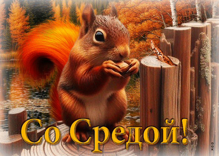 Picture мечтательная осенняя гиф-открытка со средой