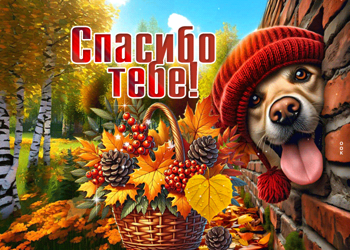 Postcard мечтательная осенняя гиф-открытка спасибо тебе