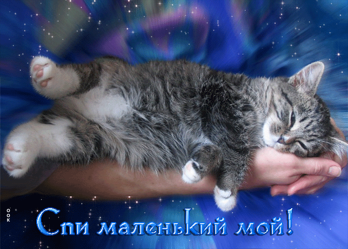 Postcard мерцающая открытка спи маленький мой! с котенком