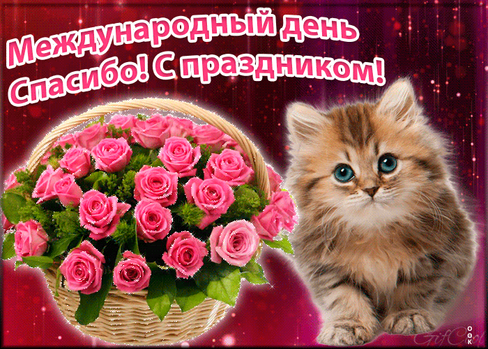 Международный День «спасибо» — поздравления, стихи, проза, смс в стихах kinotv