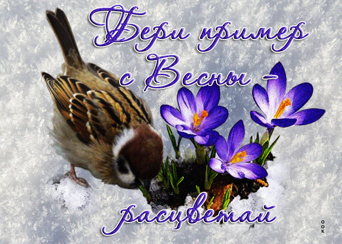 Picture милая гиф-открытка бери пример с весны - расцветай