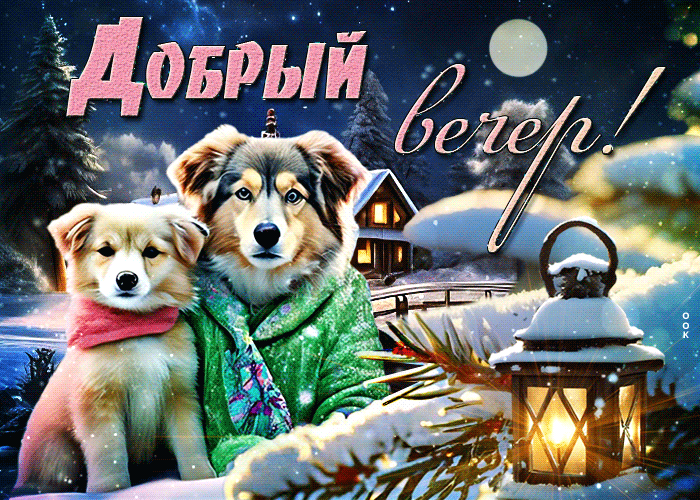 Postcard милая и сентиментальная гиф-открытка с собачками добрый вечер