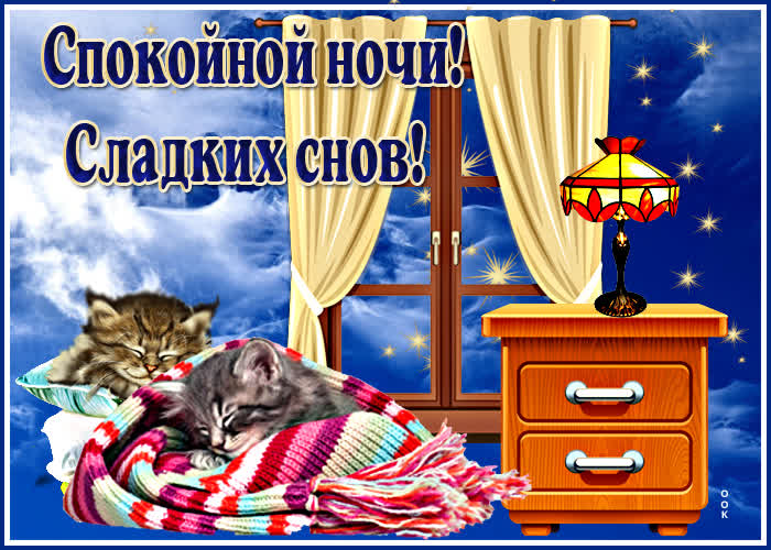 Picture милая картинка с котиками спокойной ночи! сладких снов