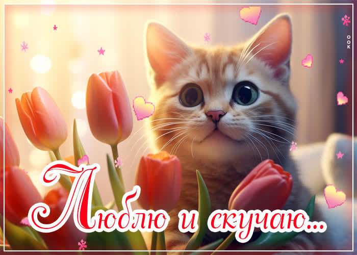 Picture милая открытка с котиком люблю и скучаю