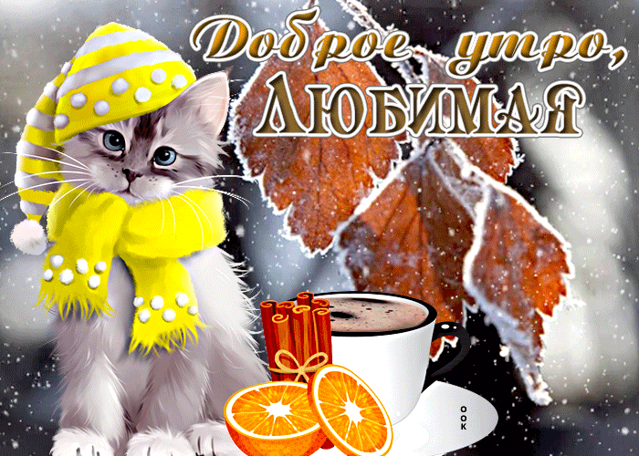 Postcard милая открытка с котиком в шапочке доброе утро, любимая