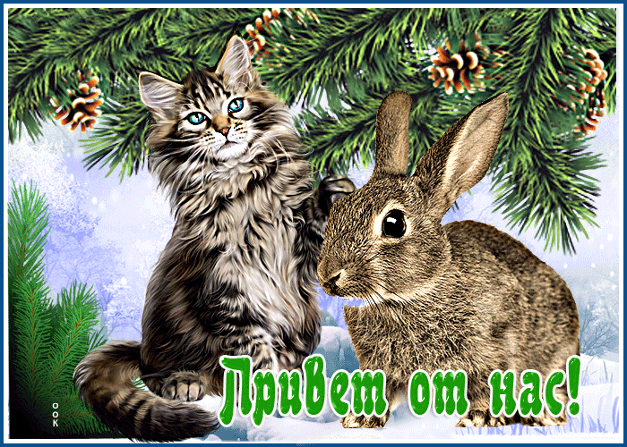Picture милая открытка с котом и зайцем привет от нас!