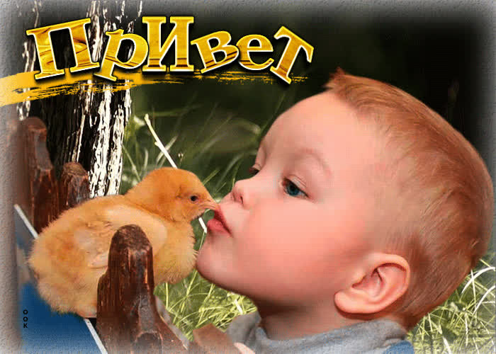 Picture милая открытка с мальчиком и цыпленком привет