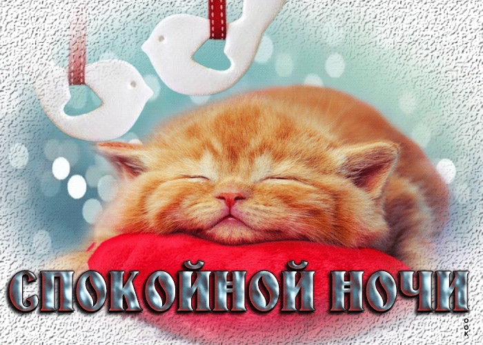 Postcard милая открытка с рыжим котенком спокойной ночи