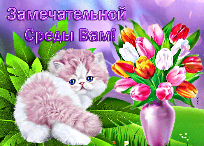 Postcard милая открытка с тюльпанами и котиком замечательной среды вам