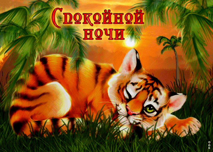 Postcard милая открытка спокойной ночи! с тигренком
