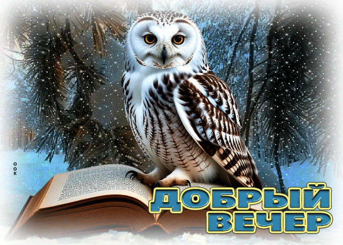 Picture миленькая гифка добрый вечер