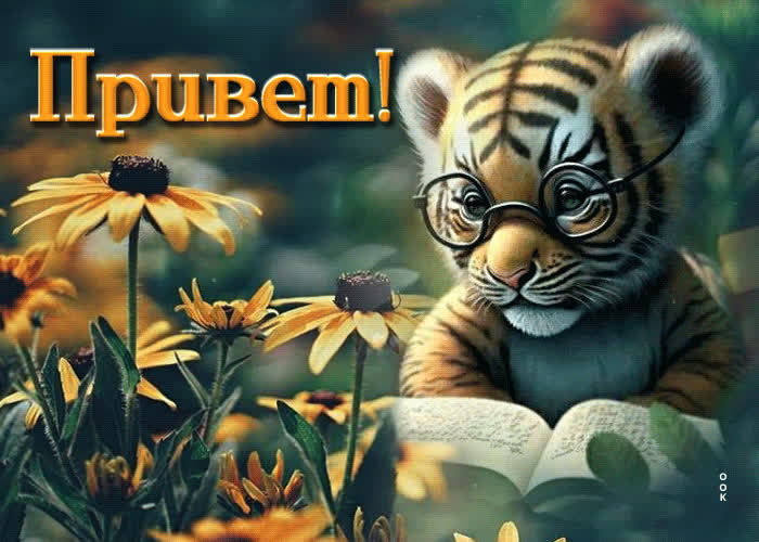 Picture миловидная открытка с тигренком привет