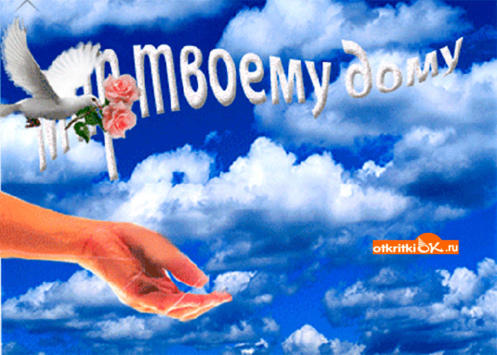 Картинки днем, открытка с днем мира и добра