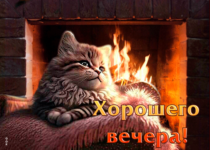 Picture мирная и доброжелательная открытка с котенком хорошего вечера
