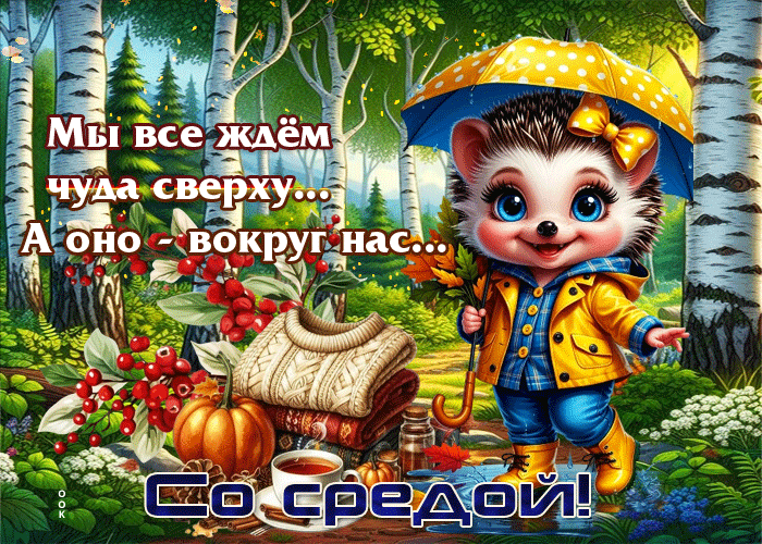 Postcard мы все ждем чуда сверху, а оно вокруг нас, со средой