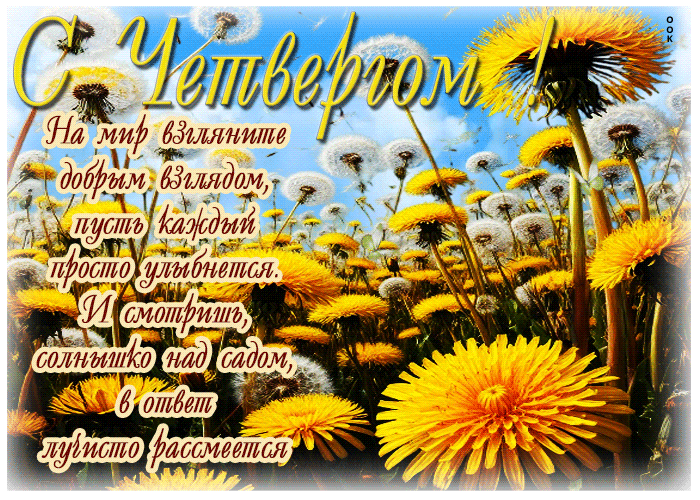 Postcard на мир взгляните добрым взглядом, пусть каждый просто улыбнется