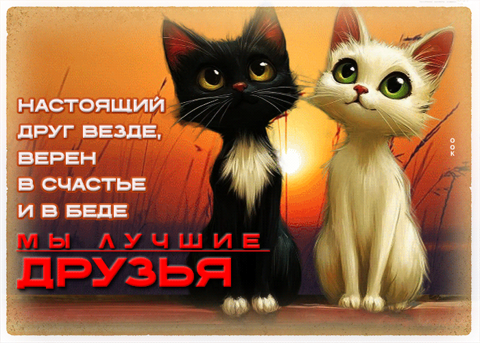 Postcard настоящий друг везде, верен в счастье и в беде