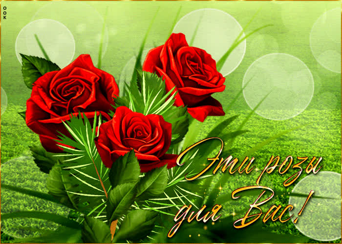 Picture насыщенная и сочная гиф-открытка эти розы для вас