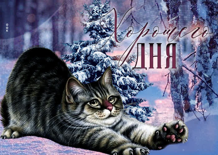 Postcard насыщенная открытка с котиком хорошего дня