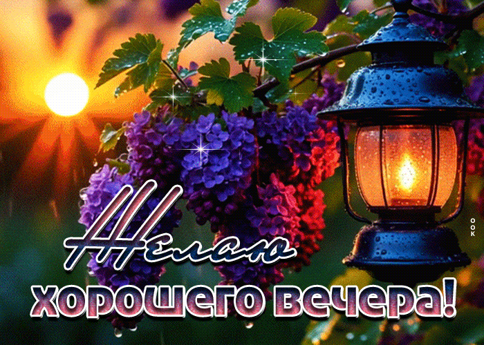 Postcard насыщенная веченняя гиф-открытка желаю хорошего вечера