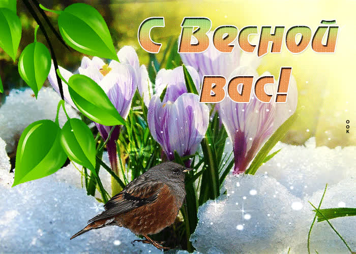 Необычная открытка с весной вас- Скачать бесплатно на otkritkiok.ru
