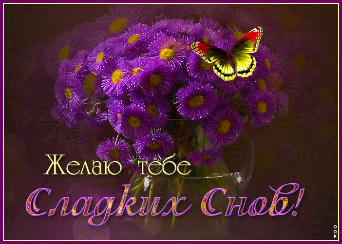 Picture необычная открытка с фиолетовыми цветами желаю тебе сладких снов