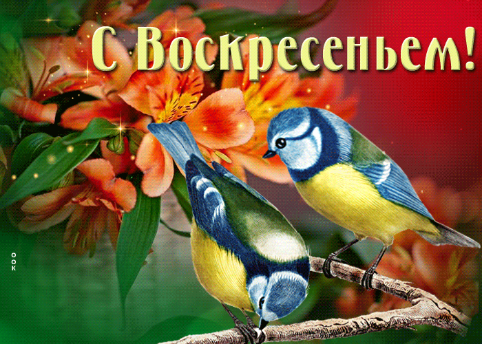 Postcard необыкновенная открытка с птичками с воскресеньем
