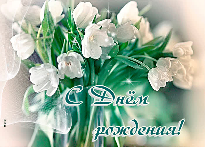 Picture неординарная открытка с белыми тюльпанами с днем рождения