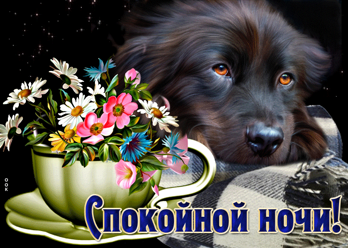Picture несравненная открытка с собачкой и цветами спокойной ночи
