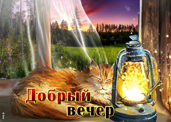Картинка нежная открытка с котиком добрый вечер