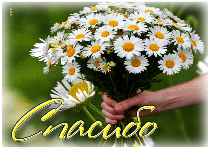 Picture нежная летняя гиф-открытка спасибо