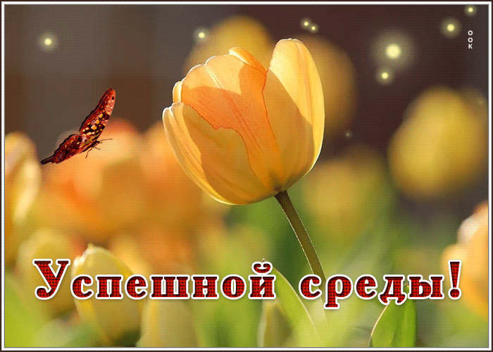 Picture нежная открытка с бабочкой успешной среды!